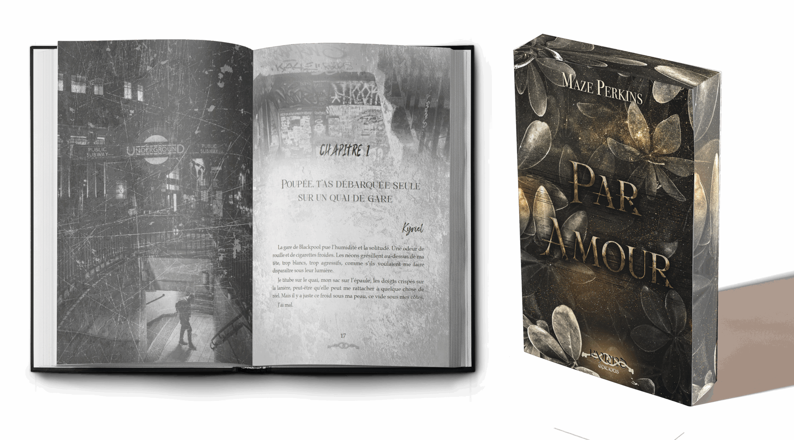 Par amour – Maze Perkins – Premium ou Standard